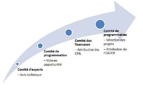 Schéma descriptif du rôle des instances du LEADER